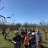 2017 Paseos Naturales